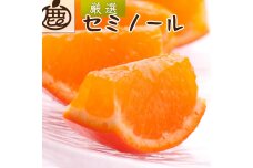 厳選 セミノールオレンジ 1kg+250g（傷み補償分）【春みかん】【有田産】