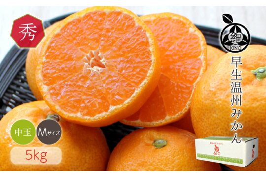 和歌山県産 早生温州みかん 秀品 Mサイズ 5kg [Sn5]