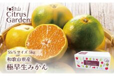 和歌山県産 極早生みかん 家庭用 小玉（SSかSのいずれか、またはサイズ混合） 5kg ［Sn11］