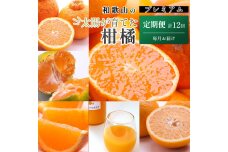 厳選 柑橘定期便M（毎月）全12回 ［IKE292］