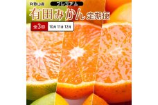 厳選 柑橘定期便SS（10～12月）全3回【みかん定期便お試し版】［IKE284］