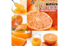 厳選 柑橘定期便S（偶数月）全6回［IKE286］