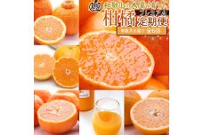 厳選 柑橘定期便S（奇数月）全6回［IKE287］