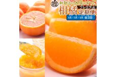 厳選 柑橘定期便S（4～6月）全3回 ［IKE289］