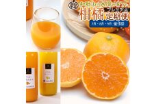 厳選 柑橘定期便S（7～9月）全3回 ［IKE290］