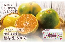 極早生みかん 家庭用 小玉（SSかSのいずれか、またはサイズ混合） 計10kg（5kgx2箱）