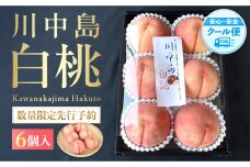 ［2026年発送分］［桃！数量限定先行予約！］川中島白桃 約2kg 6個入 100個に1個の厳選品