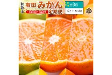 家庭用 柑橘定期便SS（10～12月）全3回【みかん定期便お試し版】 ［IKE299］