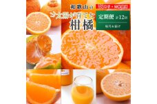 家庭用 柑橘定期便M（毎月）全12回 ［IKE307］