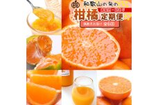 家庭用 柑橘定期便M（偶数月）全6回 ［IKE309］