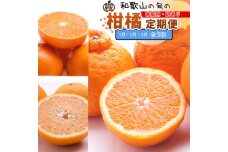 家庭用 柑橘定期便M（1～3月）全3回 ［IKE310］