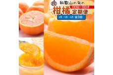 家庭用 柑橘定期便M（4～6月）全3回 ［IKE311］