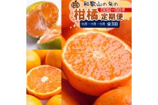 家庭用 柑橘定期便M（10～12月）全3回 ［IKE313］
