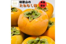 《先行受付・2026年10月～発送》和歌山のたねなし柿 約2kg ［MS131］