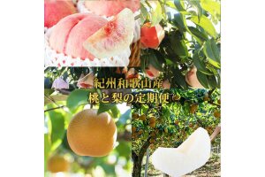 【全2回 定期便】 紀州和歌山産旬のフルーツセット（8月：桃約1.8kg・9月：梨約2kg）