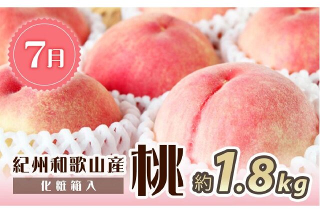 ふるさと納税 「全2回 定期便紀州和歌山産フルーツセット（7月：桃約