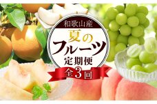 定期便全3回 【7月・8月・9月発送】 和歌山の夏のフルーツをお届け（桃・梨・シャインマスカット）