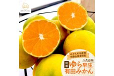 ［先行予約・2026年10月～発送］特選 ゆら早生有田みかん 2kg［サイズ混合］［MS134］