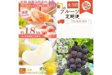 ［全3回 定期便］ 紀州和歌山産旬のフルーツセット（桃・梨・ピオーネ） ［UT142］