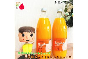 ［無添加］有田みかん100%のジュース1,000ml×2本 みかんジュース