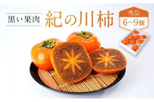 ［2026年発送分］先行予約！ 紀の川柿（果実の中身が黒い！黒蜜柿）希少栽培！ 秀品 6個～9個