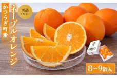 [先行予約] 和歌山県産ネーブル 約4kg　大玉（8個～9個）秀品 こだわり農家厳選 ［KG35］