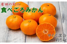 有田の旬の食べごろみかん約5kg（サイズ混合）（秀・優品混合）★2026年11月下旬頃より順次発送