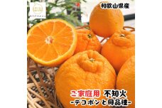 ［先行予約］有田育ちの濃厚 不知火 訳あり 家庭用  1kg ［MS144］