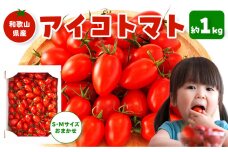 ［5月出荷分］和歌山産ミニトマト「アイコトマト」約1kg（S・Mサイズおまかせ）［TM232］