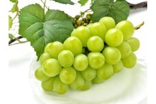 ［先行予約］シャインマスカット 約3kg（4房）