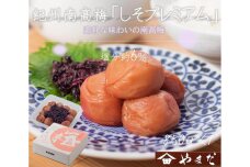【定期便・2ヵ月毎 全5回】紀州南高梅 しそプレミアム 850g ［YM14］