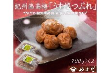 【定期便・2ヵ月毎 全5回】ご家庭用 紀州南高梅 うす塩 つぶれ 700g×2 ［YM15］