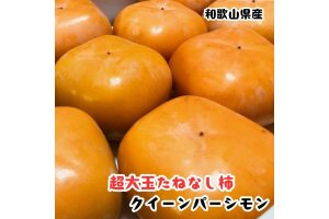 とっても大きいサイズのたねなし柿 クイーンパーシモン 約4kg 4L～7Lサイズ 青秀以上