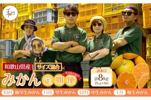 ［定期便］森本農園の手選別 訳ありみかん 約2kg［2026年10月～2027年1月まで全4回］