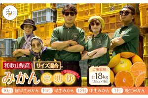［定期便］森本農園の手選別 家庭用みかん 約4.5kg［2026年10月～2027年1月まで全4回］