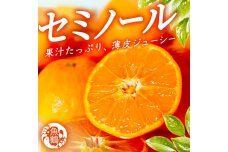 ［先行予約］ジューシー柑橘 セミノールオレンジ 5kg［UT149］