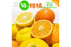 有田育ちの 旬の 柑橘 詰合せセット（ご家庭用）約7.5kg［先行予約］［MS163］