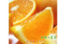 有田育ちの 完熟 清見 オレンジ（ご家庭用）約1.5kg［先行予約］［MS166］