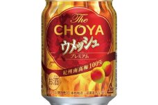 【南高梅100％】The CHOYA ウメッシュプレミアム 250ml×24本 ［MG82］
