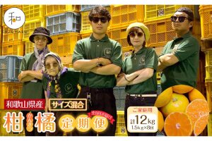 ［定期便］森本農園の手選別 柑橘定期便 家庭用 約1.5kg サイズ混合 和歌山県産 
