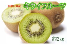 ［先行予約］ 和歌山県産キウイフルーツ約2kg サイズ混合 ★2026年11月下旬頃より順次