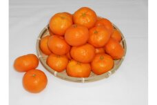 紀州完熟みかん 5kg（M又はL）
