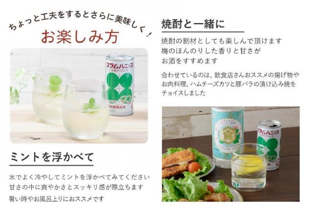 ふるさと納税 「プラムハニップ 優しい甘さの懐かしの梅ドリンク 1