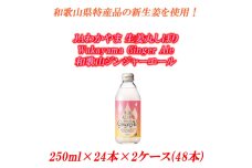 JAわかやま 生姜丸しぼり 　和歌山ジンジャーエール24本×2ケース(48本入)