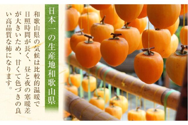 ふるさと納税 「あんぽ柿 70g×10個」 和歌山県上富田町 ふるさと納税 「あんぽ柿 70g×10個」 和歌山県上富田町