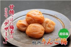 りんご梅 (1kg×1箱）【Kn5】