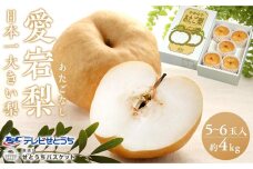 GK02　岡山産　愛宕梨　5玉～6玉入り（約4kg）