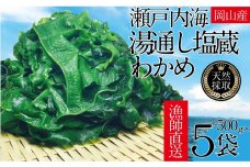 CN12　瀬戸内海 天然 塩蔵 瀬戸内 わかめ 塩蔵 わかめ ５００ｇ×５袋