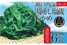 CN13　瀬戸内海 天然 塩蔵 瀬戸内 わかめ 塩蔵 わかめ ５００ｇ×６袋