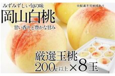 【先行予約】CN19　桃 岡山白桃 岡山の白桃　白桃　旬　みずみずしい　２００ｇ×８玉